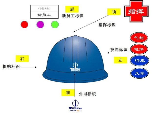 圖11：技能資質(zhì)可視化.jpg