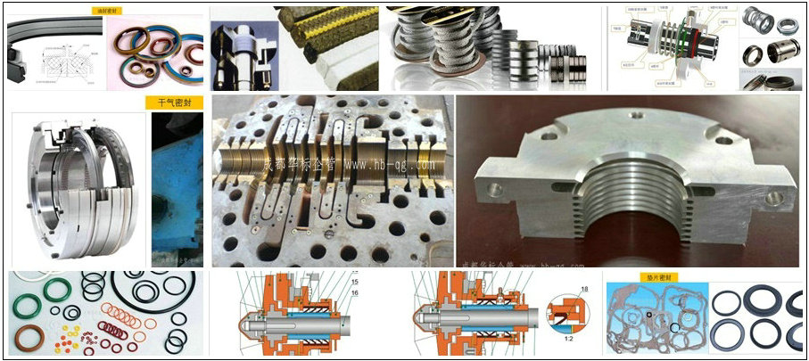 十種泵密封類型的失效原因總結(jié)